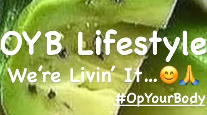 Hvad er OYB Lifestyle?